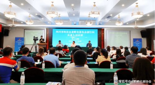 四川省第十九期科技企業(yè)孵化器及眾創(chuàng)空間從業(yè)人員培訓(xùn)聚焦影視專業(yè)技術(shù)