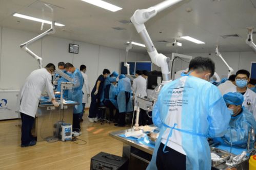 第八期吉林省神經(jīng)外科專業(yè)技術(shù)質(zhì)量控制培訓(xùn)班圓滿閉幕，開創(chuàng)影視專業(yè)技術(shù)培訓(xùn)新篇章